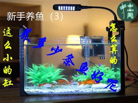 魚缸魚數量計算 米多里設計